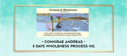 Connirae Andreas - 3 Days Wholeness Process HQ digital courses